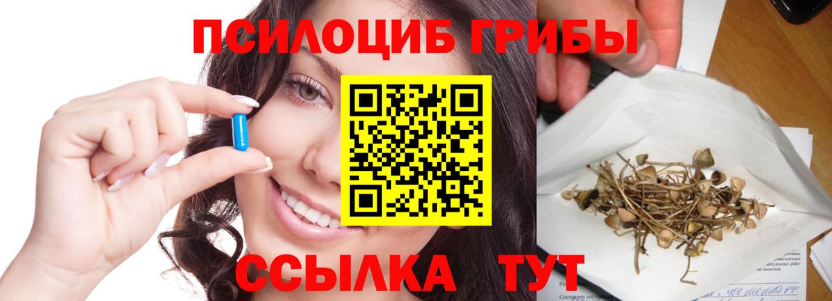 Псилоцибиновые грибы Cubensis  Вход с VPN  Нижний Тагил 